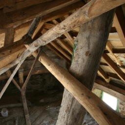 La charpente bois : techniques et savoir-faire du charpentier à Bar-le-Duc